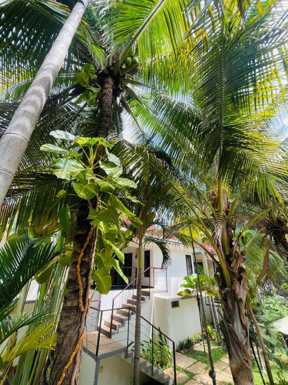 Apsara Greenland Boutique Villa & Resort Siem Reap Zewnętrze zdjęcie